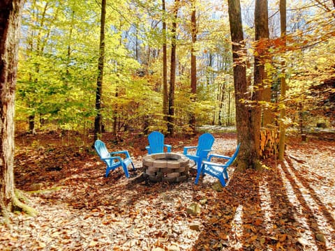 Fire pit just waiting for S'mores time!