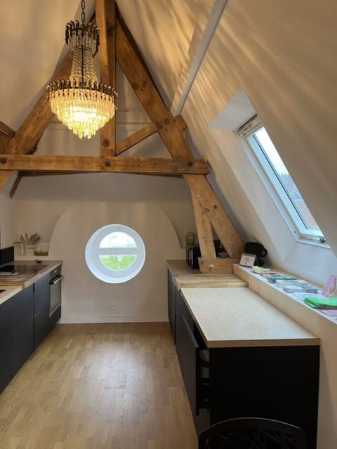 City Apartment (12 minutes walking from main building) | Private kitchen | Eco-friendly cleaning products