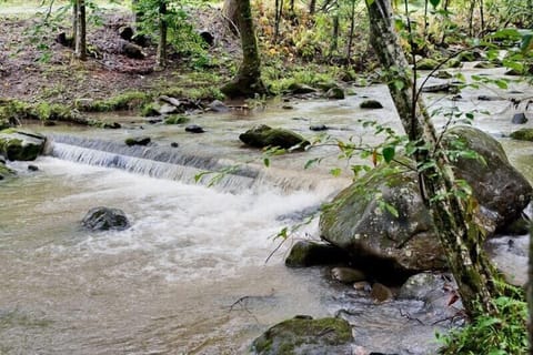 Stream
