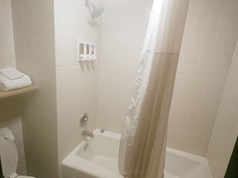 Combined shower/tub, free toiletries, hair dryer, towels