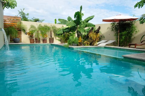 Outdoor pool, open 8:00 AM to 8:00 PM, sun loungers