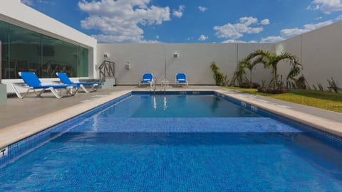 Outdoor pool, sun loungers