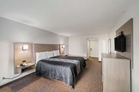 Room, 1 King Bed, Non Smoking | Blackout drapes, iron/ironing board, cribs/infant beds, rollaway beds