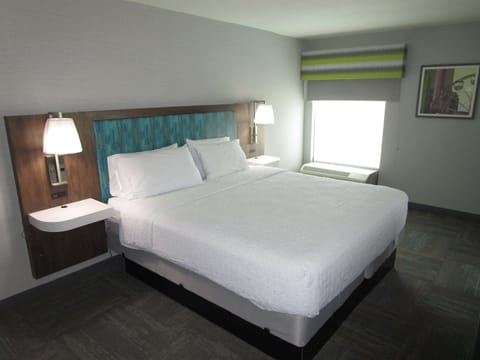 Suite, 1 King Bed, Non Smoking (with Sofabed) | Premium bedding, down comforters, in-room safe, desk