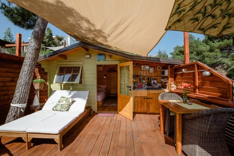 Tree House 