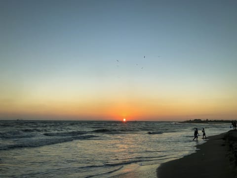 Beach nearby, 10 beach bars