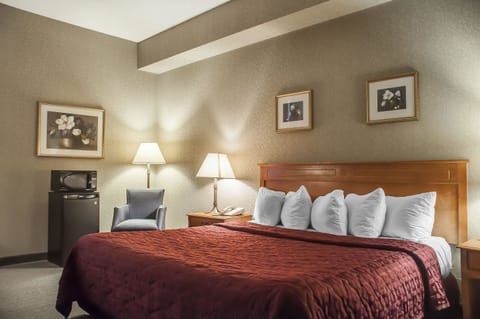 Room, 1 King Bed, Refrigerator & Microwave, Ground Floor | Individually furnished, desk, blackout drapes, iron/ironing board