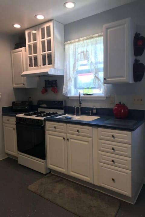 SAVE,MO Cottage area cooking space, sink and cabinets.