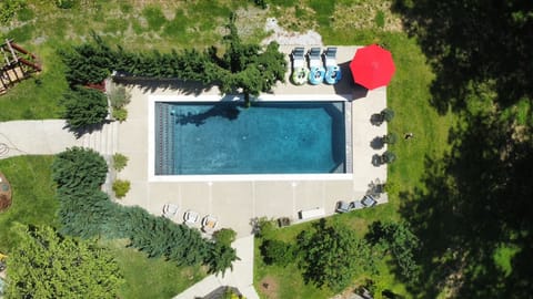 Aerial view of pool in forest setting.