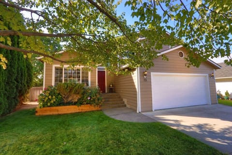 Welcome to Spagnuolo Loop!