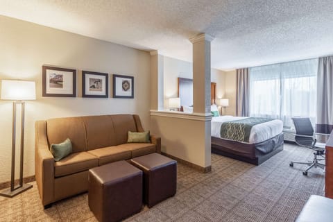Suite, 1 King Bed with Sofa bed, Non Smoking | Desk, blackout drapes, iron/ironing board, free cribs/infant beds
