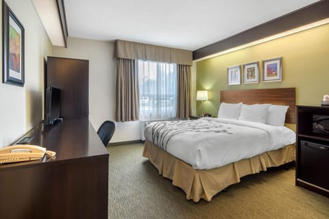 Desk, soundproofing, iron/ironing board, free WiFi