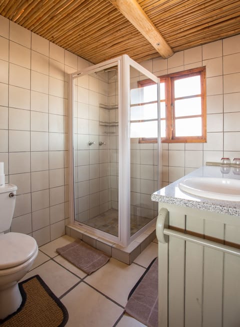 Shower, free toiletries, towels, soap