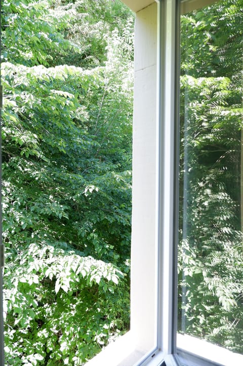 Apartment | Courtyard view