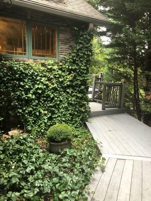 Pathway to entrance off carport 