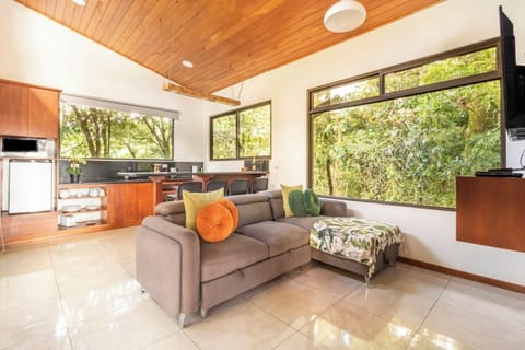 Living room and kitchen. You can see the sofa cama 