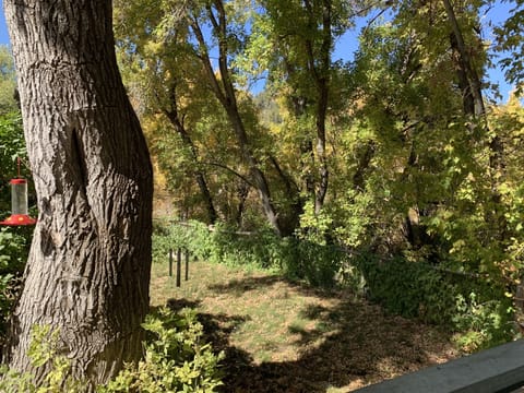 View from the front porch