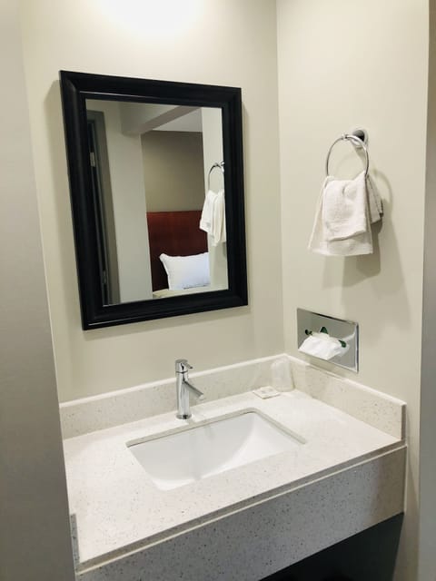 Accessibility King | Bathroom sink