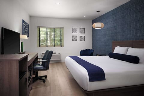 Standard Room, 1 King Bed, Non Smoking, Refrigerator & Microwave | Premium bedding, down comforters, desk, laptop workspace