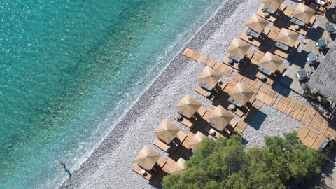 Beach nearby, free beach shuttle, sun loungers, beach umbrellas