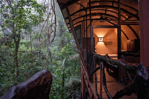 Tree House, 2 Queen Beds, Mountain View | View from room