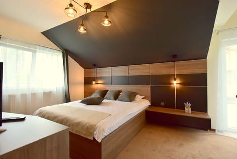 Deluxe Double Room, Terrace (Gray) | Minibar, desk, blackout drapes, free WiFi