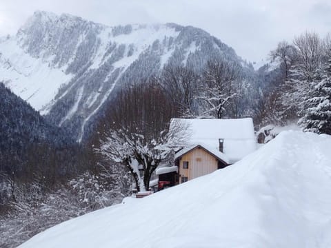 the snow covered chalet