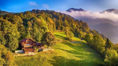stunning picture of the chalet o the top of the mountain 