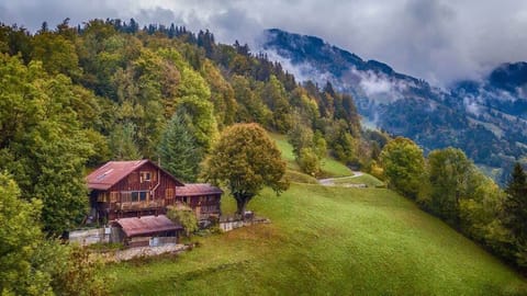 breathtaking picture of the chalet 