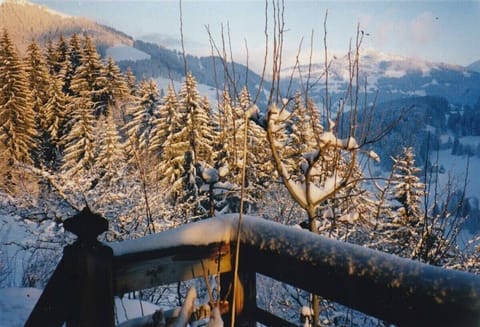 Winter views to the East