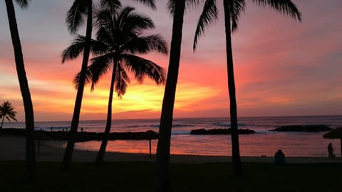 Gorgeous sunsets await your arrival. 