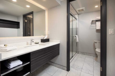 Deluxe Room | Bathroom | Shower, hydromassage showerhead, free toiletries, hair dryer