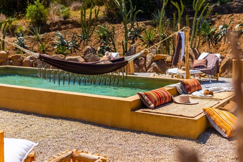 Water, Plant, Outdoor Furniture, Leisure, Comfort, Arecales, Shade, Wood, Tree, Swimming Pool