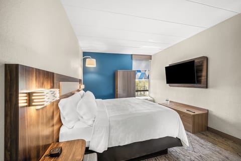 Suite, 1 King Bed | Premium bedding, in-room safe, desk, blackout drapes