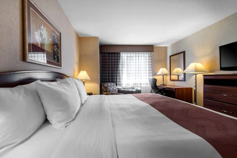 Standard Room, 1 King Bed, Non Smoking | Iron/ironing board, rollaway beds (surcharge), WiFi (free), alarm clocks