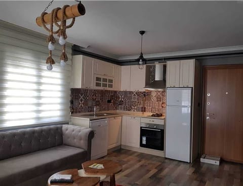 Apartment, 1 Bedroom | Private kitchenette | Full-size fridge, oven, stovetop, dishwasher