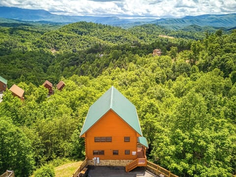 Overview of cabin