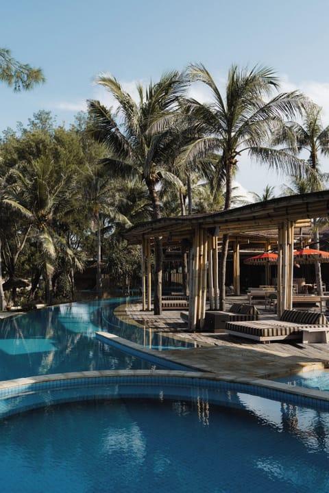 Outdoor pool, sun loungers