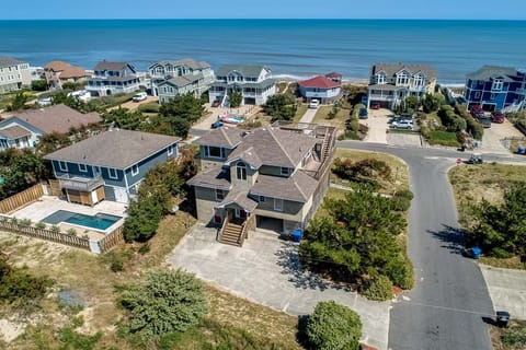 Front Aerial View of Dancing Dolphin