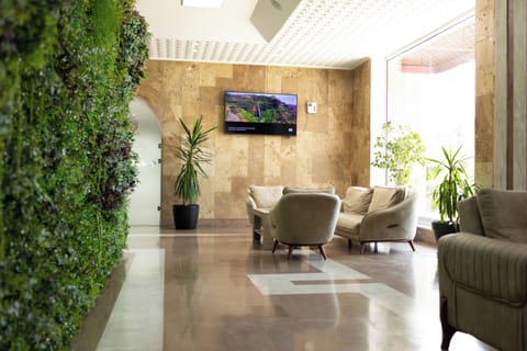 LED TV