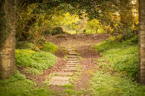 Path to Writer's Cottage