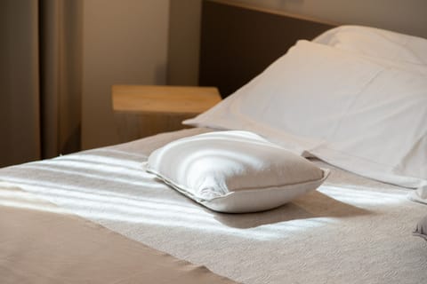 Standard Double or Twin Room | Premium bedding, down comforters, memory foam beds, in-room safe