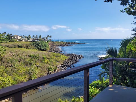 Studio features oceanfront lanai for viewing sea turtles, surf, sunrise, stars