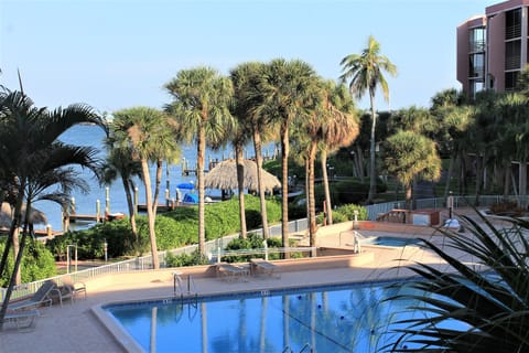 Marco River and Pool View from your private screened lanai