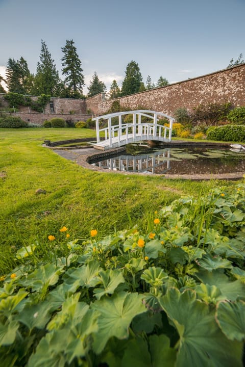 Walled garden pond
