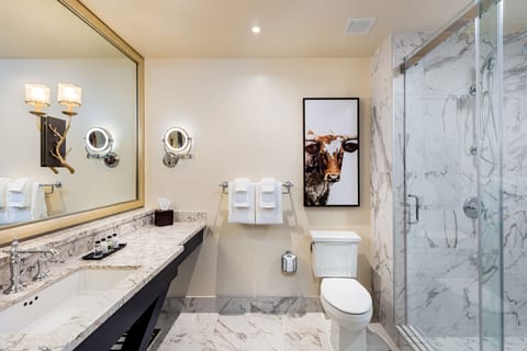 Shower, free toiletries, hair dryer, towels