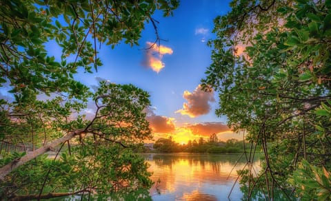 Jupiter Sunrise