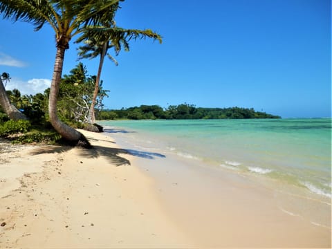 On the beach, white sand, free beach cabanas, sun loungers