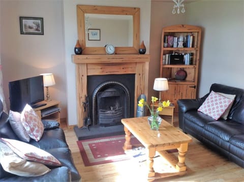 Living room with open fire