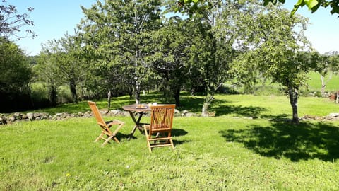 Large rear garden